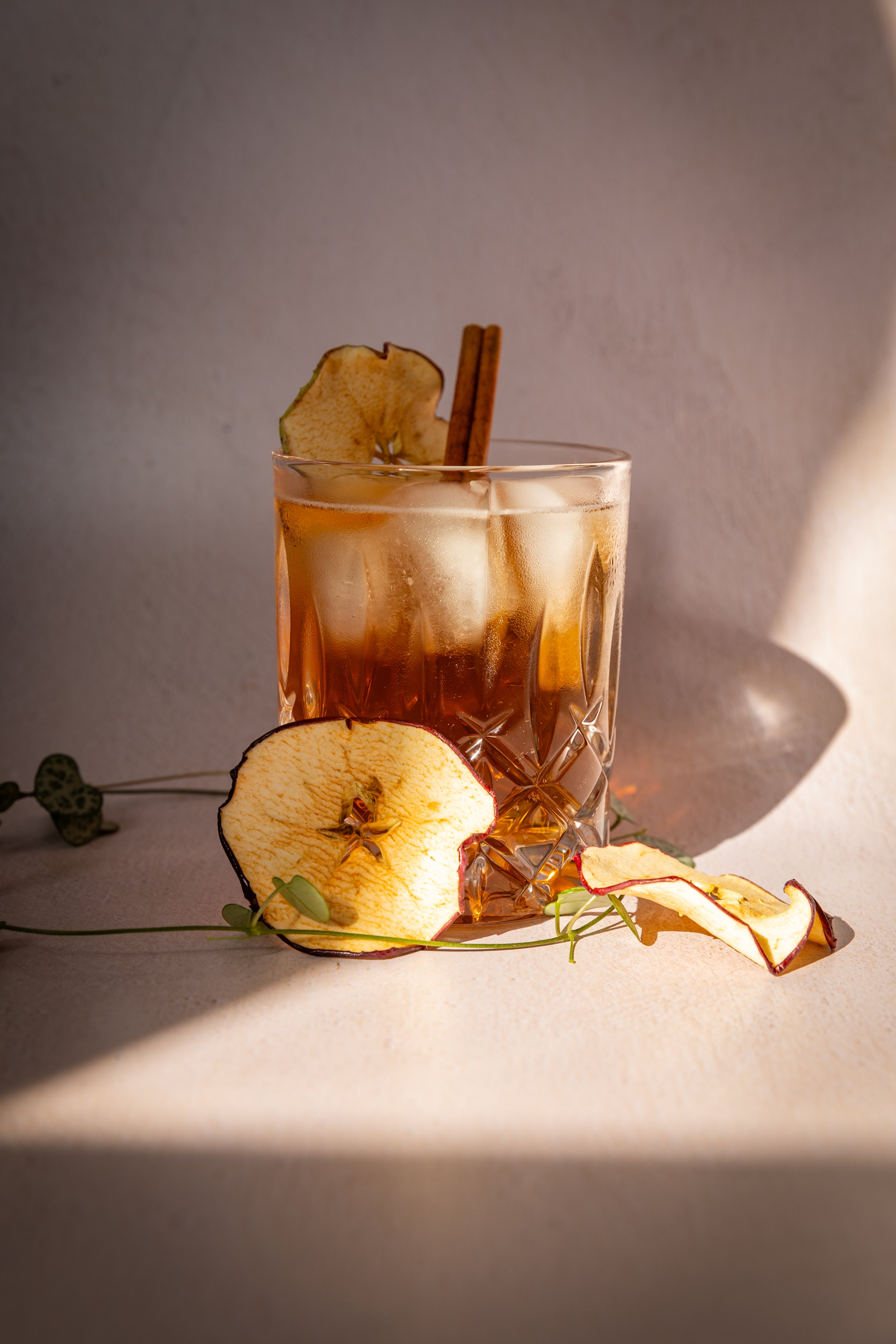 Sac Zestee de pommes déshydratées (25 tranches)